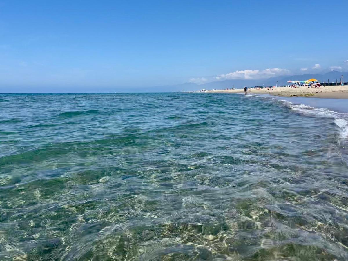 Appartamento La Terrazza Del Pino Torre del Lago Puccini Esterno foto