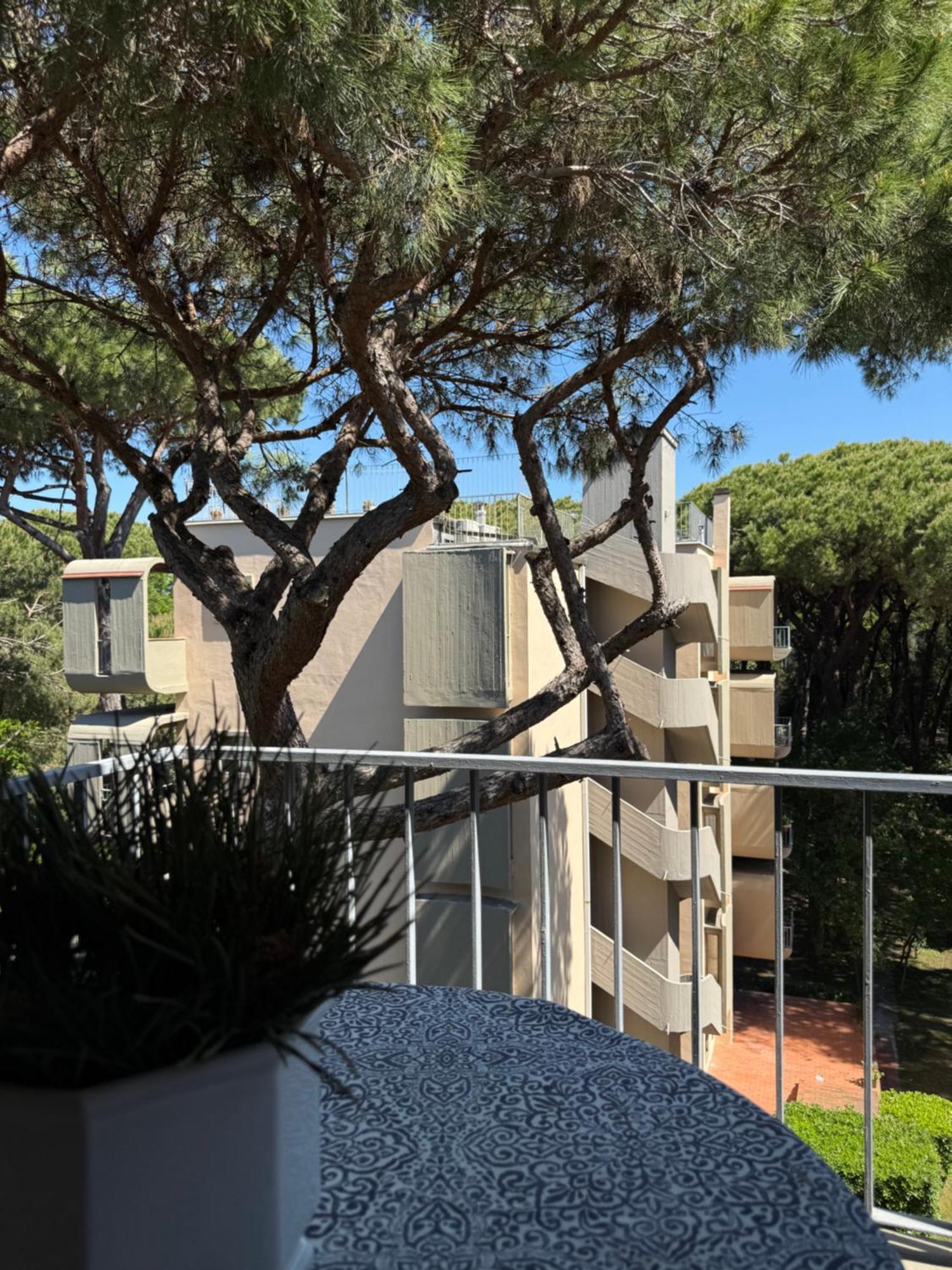 Appartamento La Terrazza Del Pino Torre del Lago Puccini Esterno foto